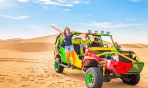 Tour al Oasis de Huacachina y Paracas