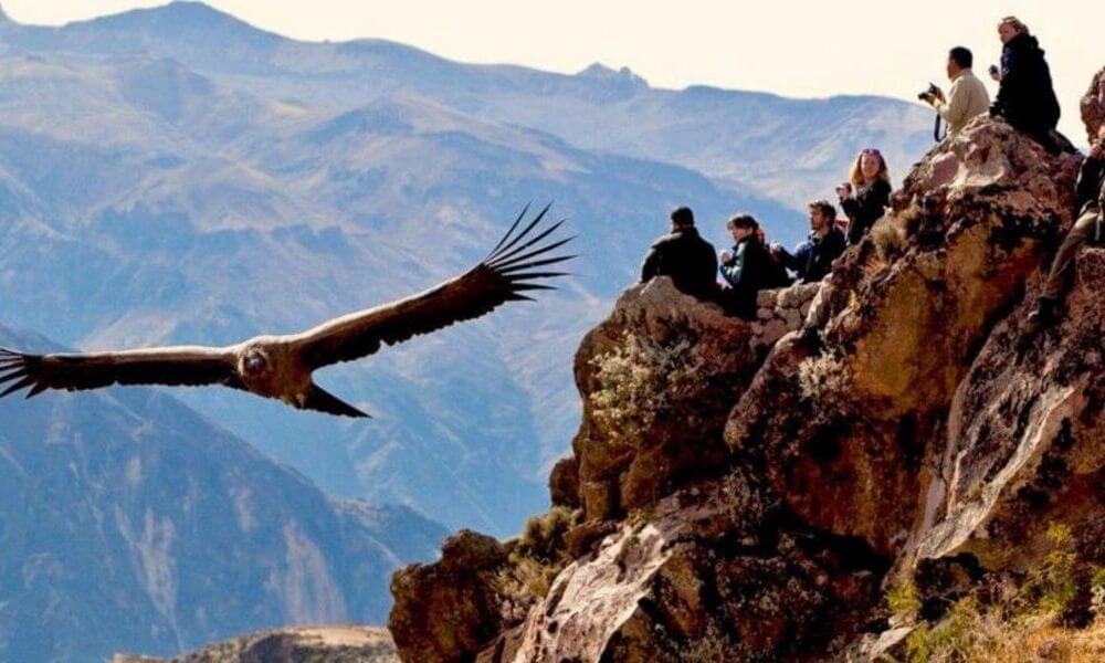 Tour de día completo al Cañón del Colca